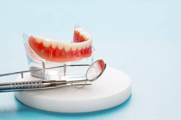 Best Preventive Dentistry  in Herrin, IL